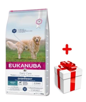 Eukanuba Daily Care Overweight Adult Dog 12kg + έκπληξη για σκύλους ΔΩΡΕΑΝ!