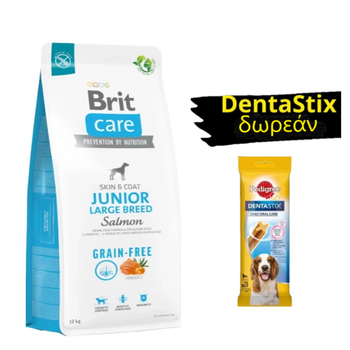 BRIT CARE Dog Grain-free Junior Large Breed Salmon 12kg