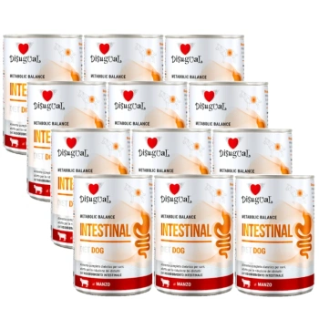 Disugual Κάρμα υγρή τροφή για σκύλους Κτηνιατρική INTESTINAL Βόειο κρέας (ενήλικες) 12x400g