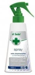 Εργαστήριο DermaPharm Dr Seidel Spray με χλωρεξιδίνη 100ml